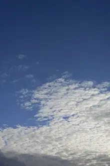 Cirrocumulus Clouds Prints: Clouds, Cirrocumulus
