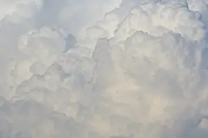 Prints of clouds (Cumulus) Humilis Prints: Cumulus Clouds Print - White Puffy Skies