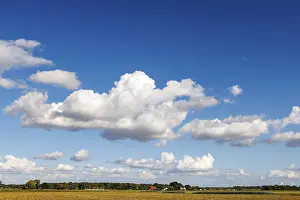 Blue Sky Weather Forecast Prints: clouds (Cumulus), Germany