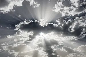 Cumulus Humilis Clouds Prints: Clouds (Cumulus) and sun rays, Germany
