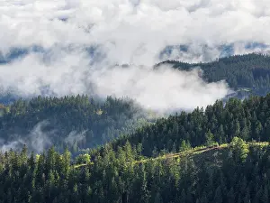Wooded Landscape Photography Prints: Clouds in the Thuringian Forest