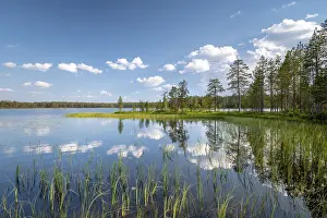 Prints of Clouds and trees reflected in the lake, grass tufts, Hossa National Park, Ruhtinansa, Suomussalmi, Kainuu, Finland Lake Prints: Clouds and Trees Reflected in the Lake Print, Finland