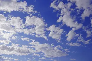 Cloudy Weather Prints: Cloudy sky