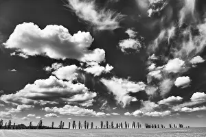 Central Europe Open Air Prints: Cloudy sky over a row of poplars