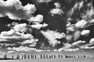 Eastern Germany Nature Scene Prints: Cloudy sky over a row of poplars