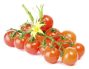 Fresh Produce Prints: Cluster of cherry tomatoes on the white