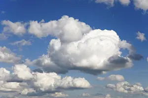 Fair Weather Cumulus Clouds Prints: Cluster clouds, spring clouds, cumulus clouds in the blue sky