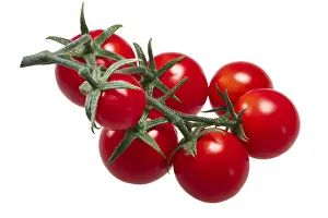 European Fruit Vegetables Prints: Cluster of tiny cherry tomatoes (ciliegini)