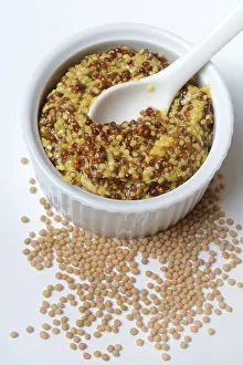 Western European Cuisine Prints: Coarse-grained Dijon mustard in shell