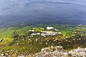 Scandinavian Coastal Scene Prints: Coastal area, algae bloom, algae