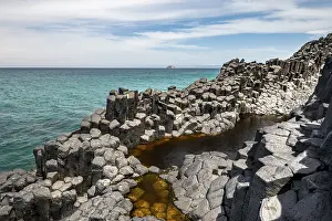 Basalt Cliffs New Zealand Prints: Coastal basalt cliffs, basalt columns