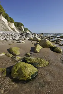 Steep Rocky Coastlines Europe Prints: Coastal cliffs, shingle beach and chalk cliffs