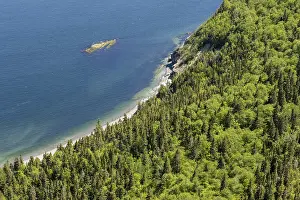 Deserted Coastline Scene Prints: Coastline and forest