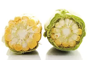 Sweet Corn Nutrition Prints: Cob of corn cut in half