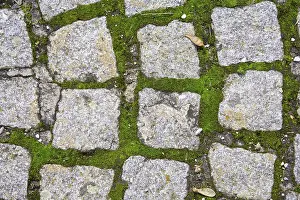 Paving Stone Texture Prints: Cobbles