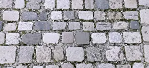 Cobblestone Road Prints: Cobblestones with moss in the intermediate joints