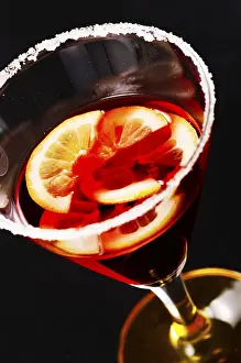 Citrus Fruit Slice Prints: Cocktail