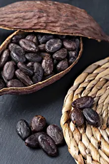 Roasted Legumes Prints: Cocoa Pod And Beans on a table