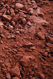 Calorie Rich Food Prints: Cocoa powder, full format