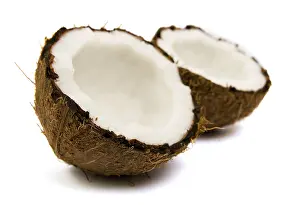 White Background Animal Image Prints: Cocoes
