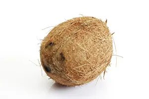 Studio Background Food Photography Prints: Coconut