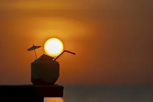 Tropical Evening Sky Prints: Coconut at sunset on the beach