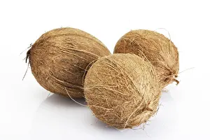 Studio Food Shots Prints: Coconuts