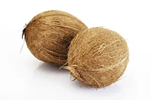 Coconut Nutrition Prints: Coconuts