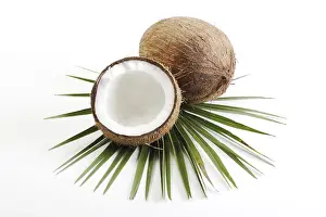 Halved Coconuts Prints: Coconuts, one halved, palm leaf