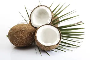 Halved Coconuts Prints: Coconuts, one halved, palm leaf