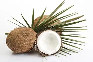 Halved Coconuts Prints: Coconuts, one halved, palm leaf