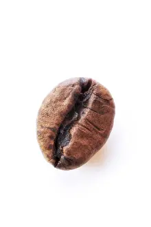 Still Life Studio Photo Prints: Coffee bean