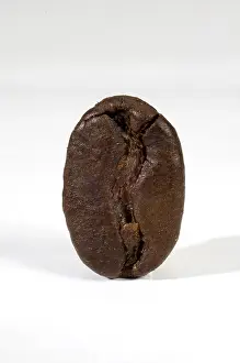 Studio Shot Coffee Prints: Coffee bean