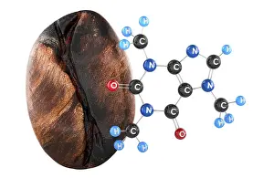 White Background Coffee Prints: Coffee bean with caffeine molecule