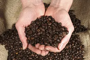 Coffee Bean Nutrition Facts Prints: Coffee beans