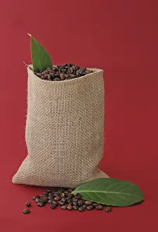 Freshly Roasted Coffee Prints: Coffee beans in a burlap sack