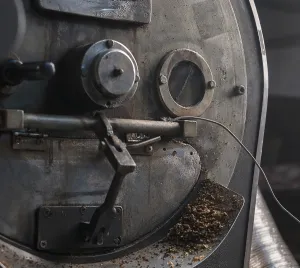 Coffee Roasting Process Prints: Coffee beans cooking during the roasting process
