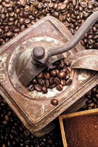 Studio Shot Coffee Prints: Coffee mill with coffee beans