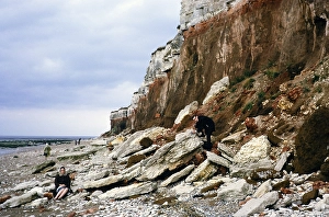Rock Cliff Landscape Photography Prints: Collapsing cliffs and beach Hunstanton, Norfolk, England 1966