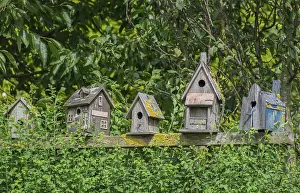 Nesting Aid For Birds Prints: Collection of weathered nesting boxes