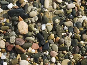 Colorful Nature Scenes Prints: Colored pebbles in the sand