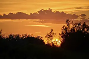 Mellow Evening Atmosphere Prints: Colored sunset with a cloud in the sky