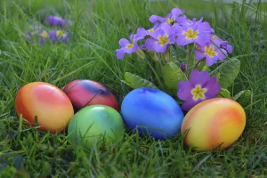Spring Awakening Photography Prints: Colorful easter eggs in grass with primrose