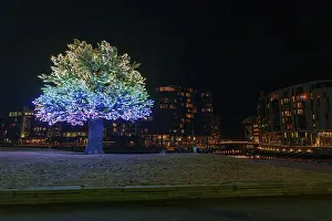Prints of A colorful illuminated tree at night, with modern town houses in the background, Oslo, Norway Oslo Prints: A Colorful Illuminated Tree Print, Oslo Norway