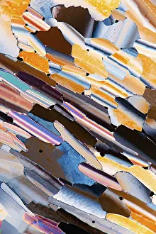 Vibrant Colors Prints: A colorful microscopic view of liquid crystals featuring an array of vivid oranges
