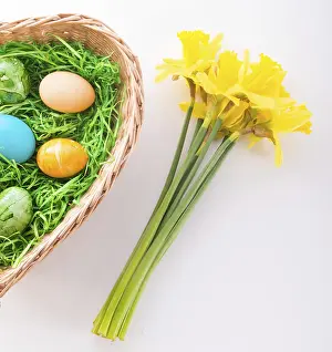 Spring Heralds Prints: Coloured eggs
