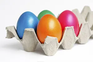 Studio Shot Of Eggs Prints: Coloured eggs, Easter eggs, in an egg carton