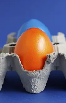 Easter Eggs Prints: Coloured eggs, Easter eggs, in an egg carton