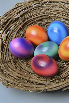 Multicolored Easter Eggs Prints: Coloured eggs in nest shell, colourful Easter eggs