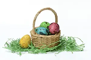 Coloured Quail Eggs Prints: Coloured quail eggs in baskets